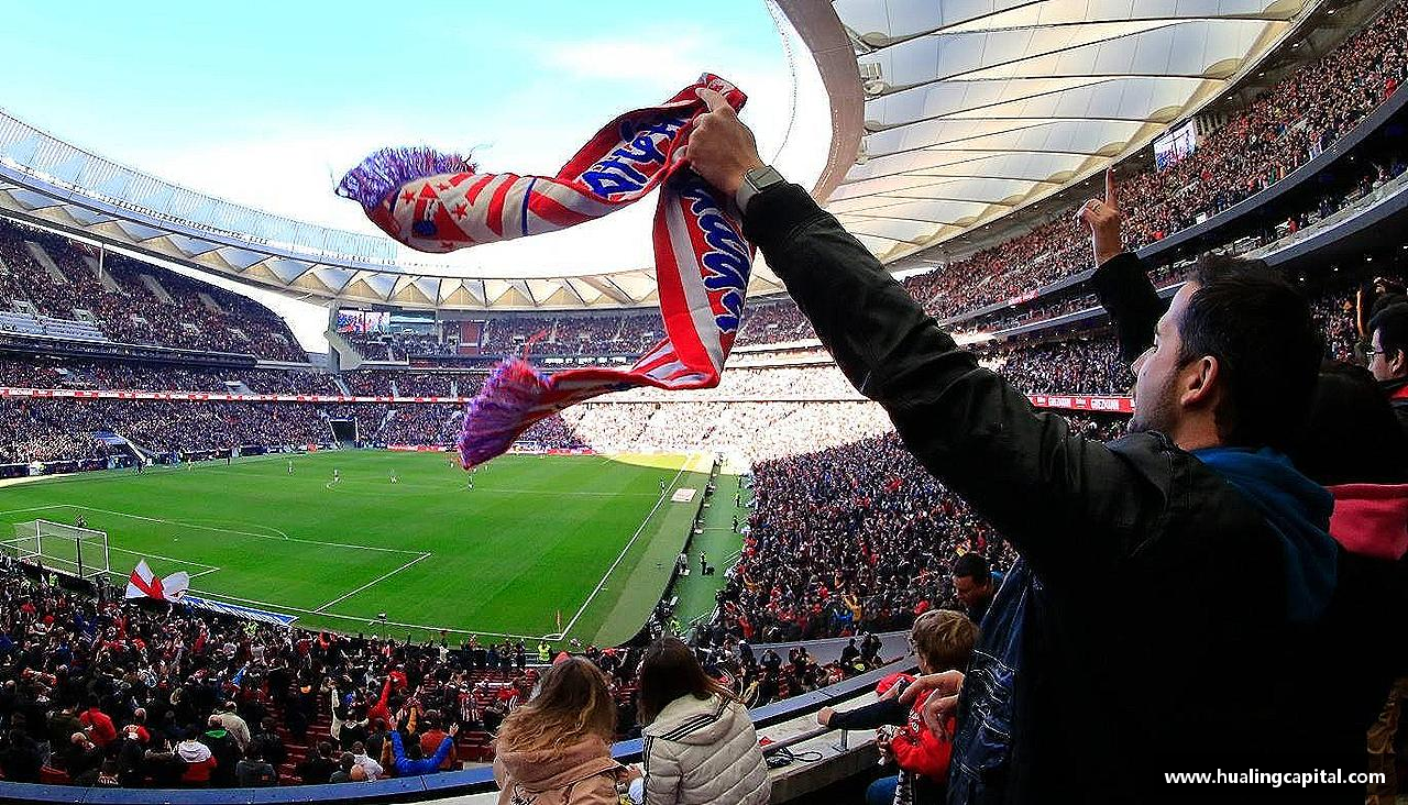 芒果体育app跃动青春，激情体育